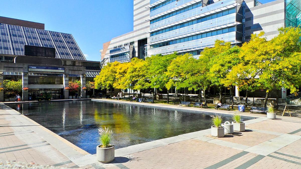 Beautiful Room At Yonge And Sheppard And North York Centre Toronto Exteriör bild